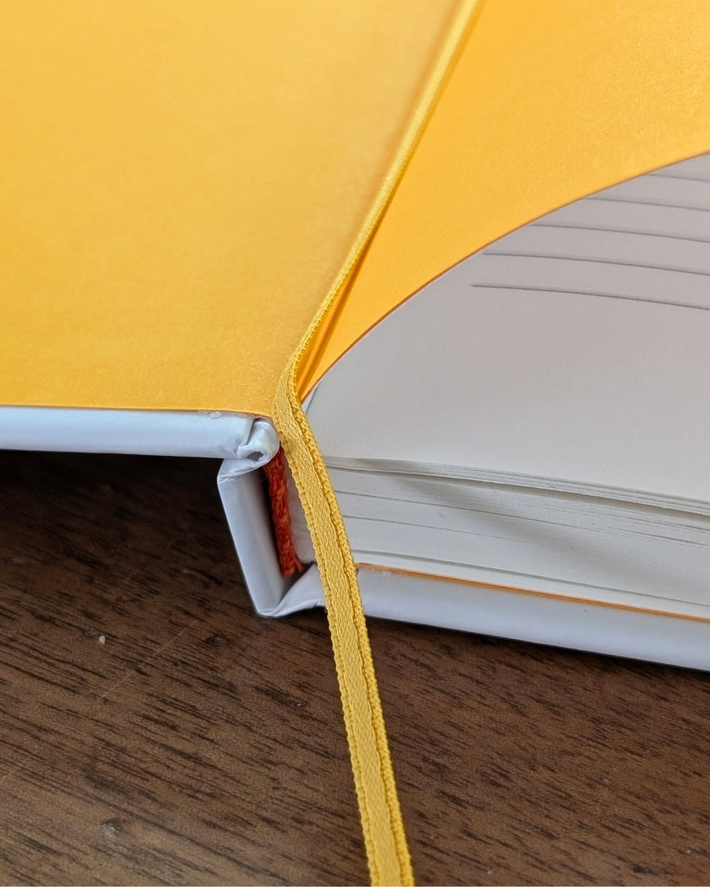 Carnet de note A5: Le Poulpe