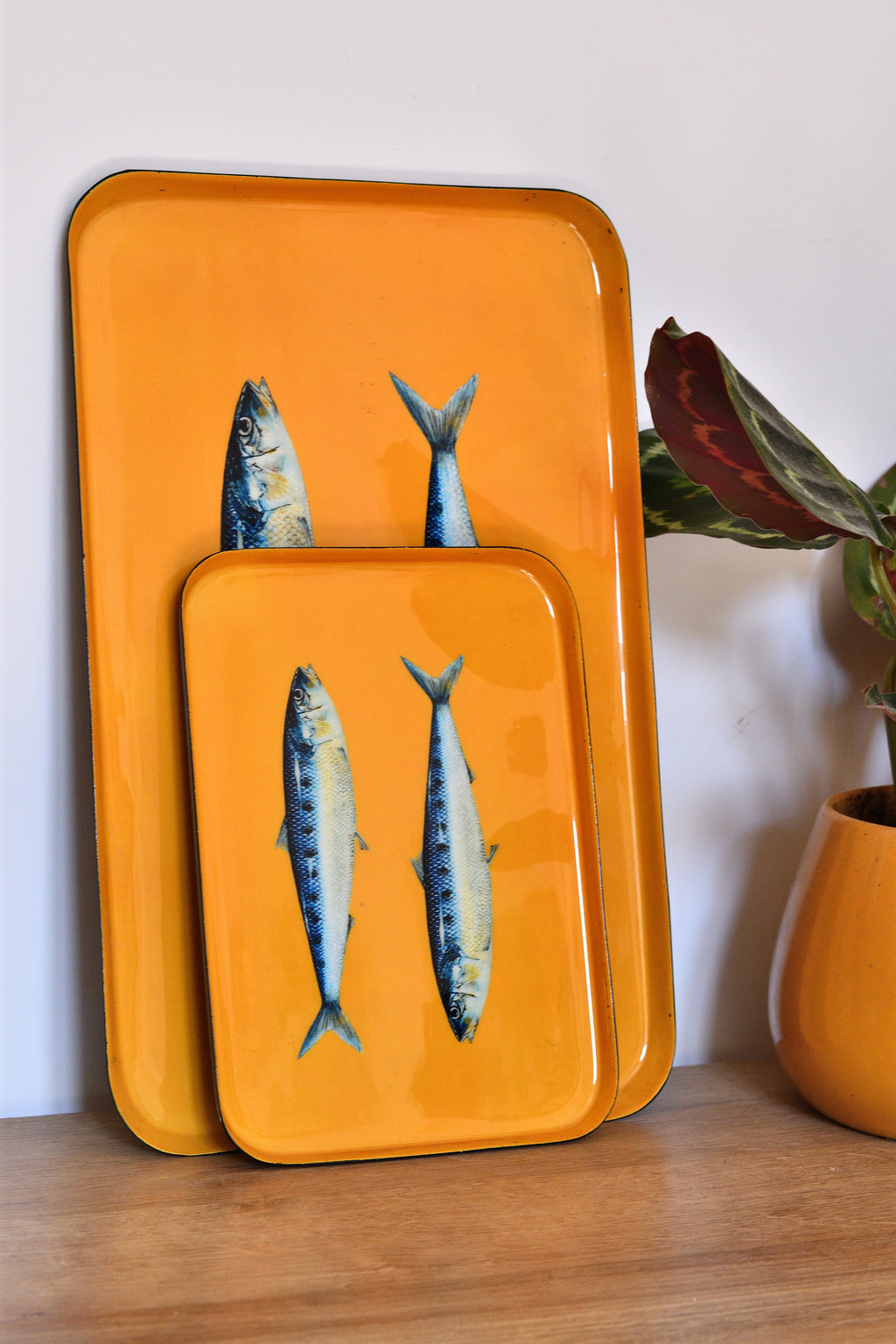 Bandeja de aluminio esmaltado de 25 x 17 cm: Sardinas