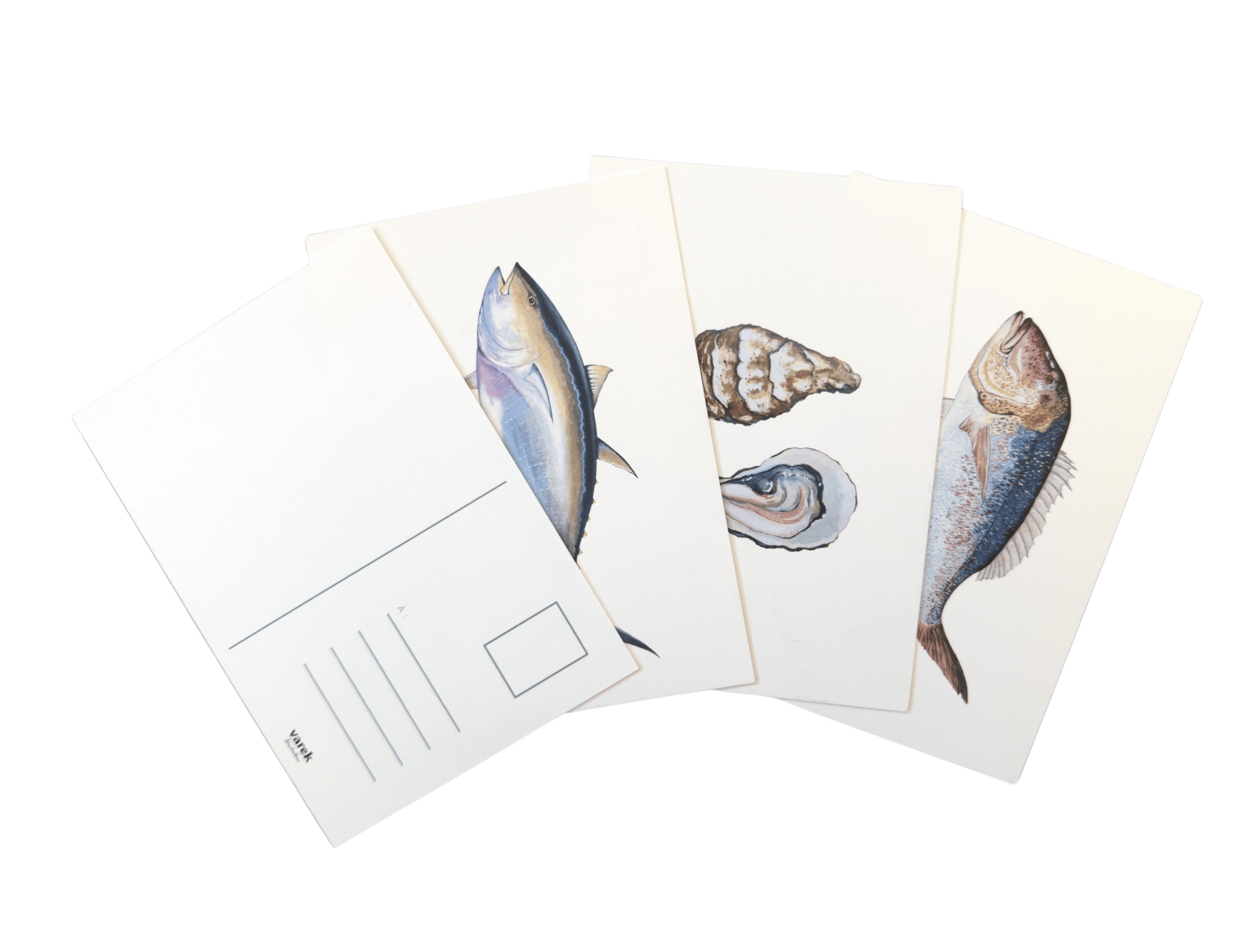 Lot de 15 cartes postales: La vie aquatique sur papier d'art