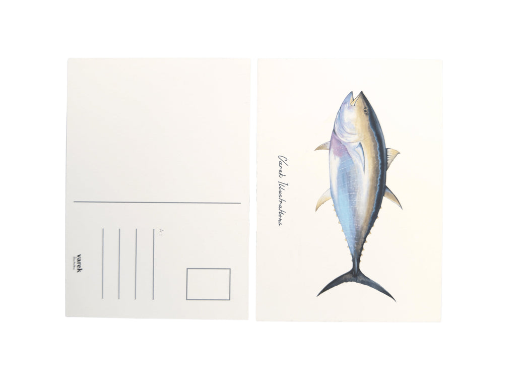 Lot de 15 cartes postales: La vie aquatique sur papier d'art