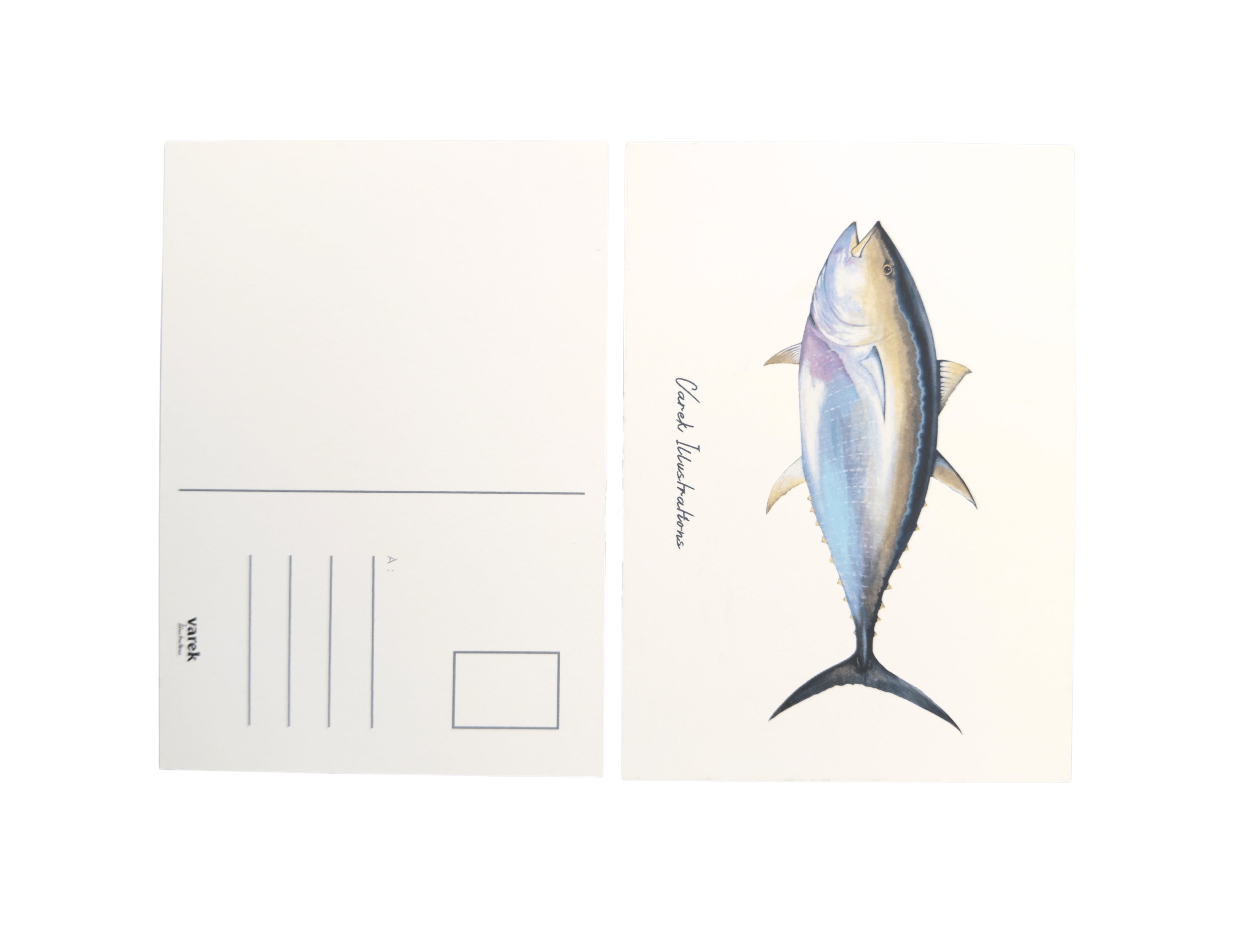 Lot de 15 cartes postales: La vie aquatique sur papier d'art
