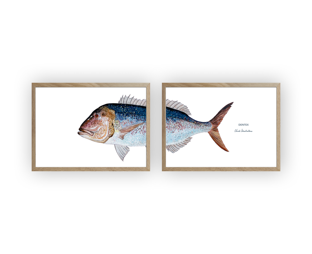 Diptyque Denti