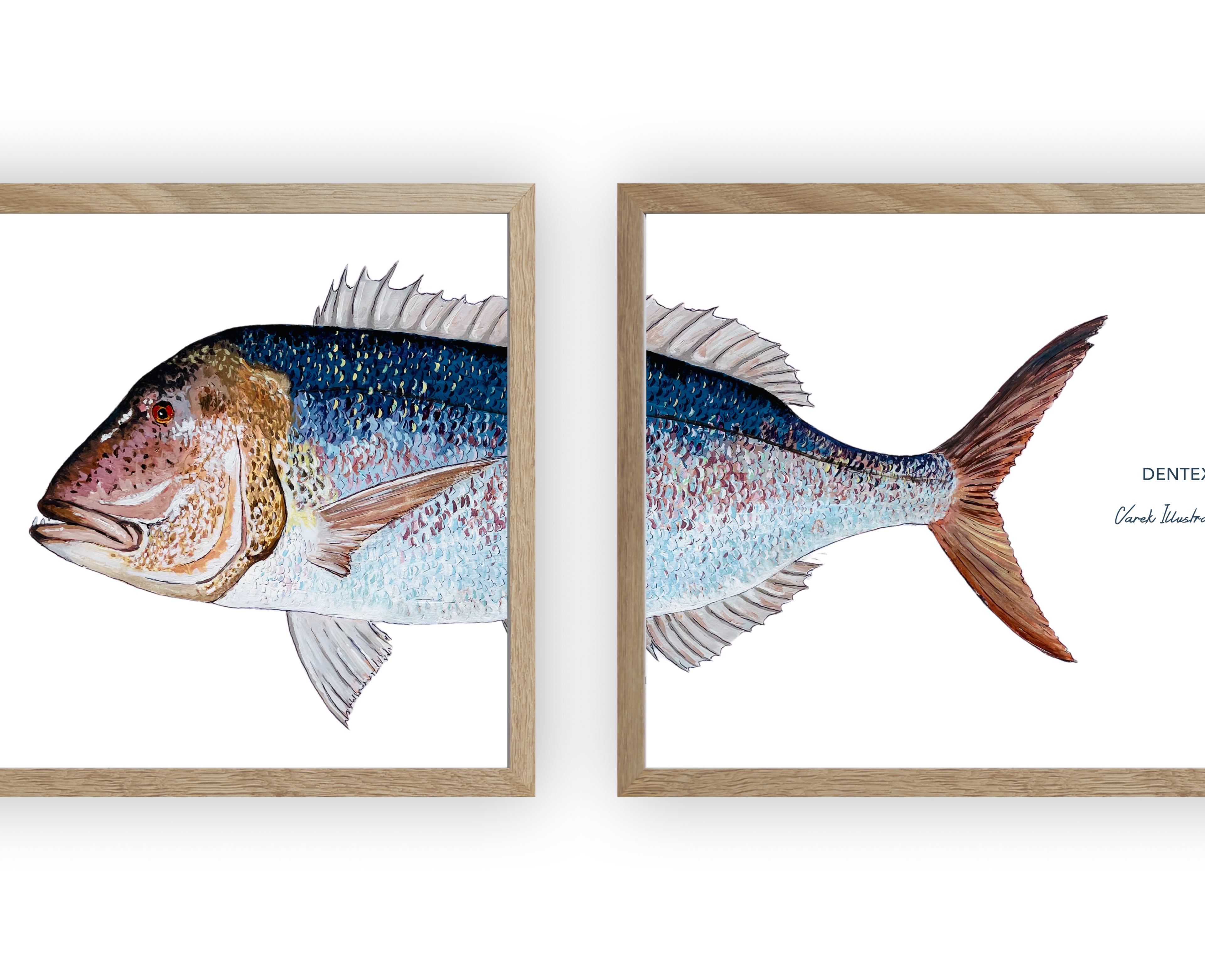 Diptyque Denti